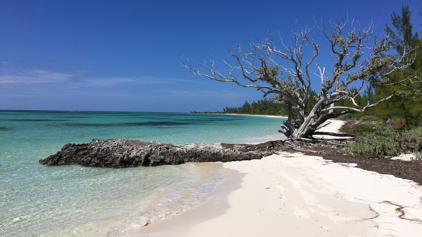 Bahamas: Great Sale and Grand Cays