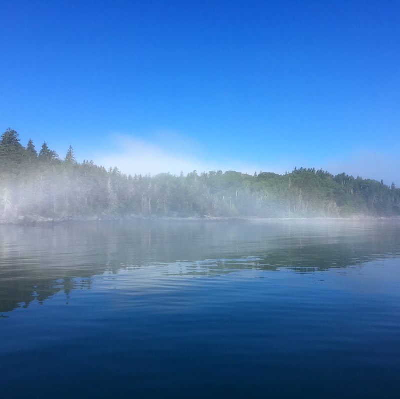 Polly Cove one foggy morning