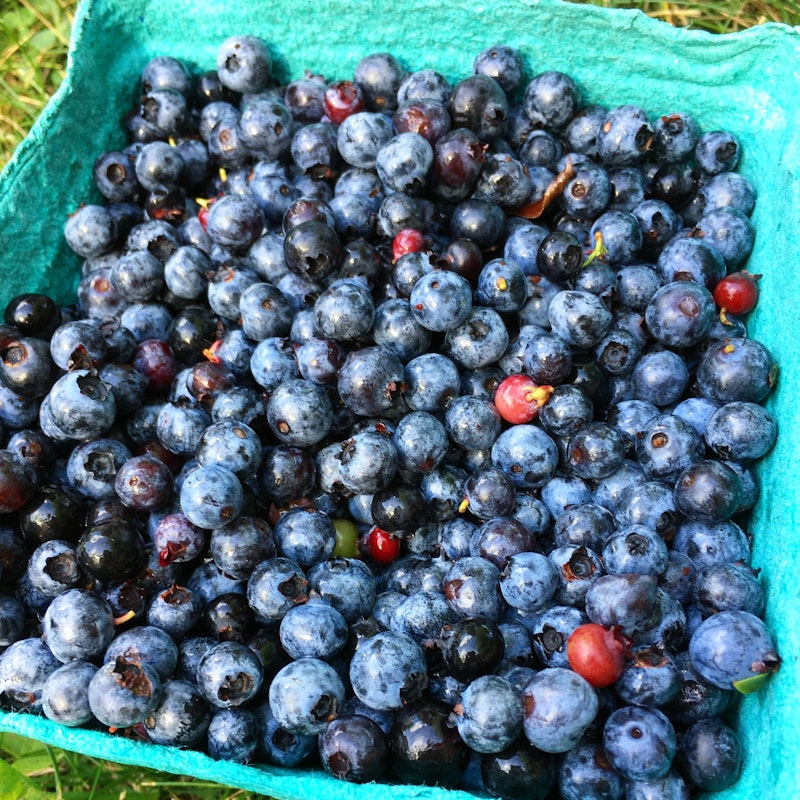 Maine Blueberries: $3 for a large container in Maine, this would cost at least $14 in the Bahamas
